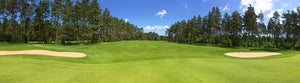 blog here we golf, golf toulouse, simulateur de golf